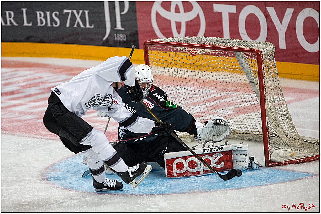 DEL, Koelner Haie - Nuernberg Ice Tiger, 24.01.2017